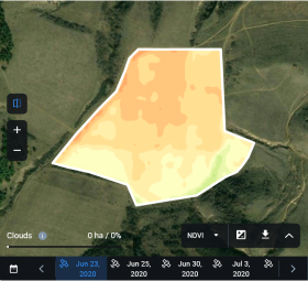 field's NDVI values in 2020