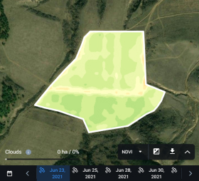 field's NDVI values in 2021